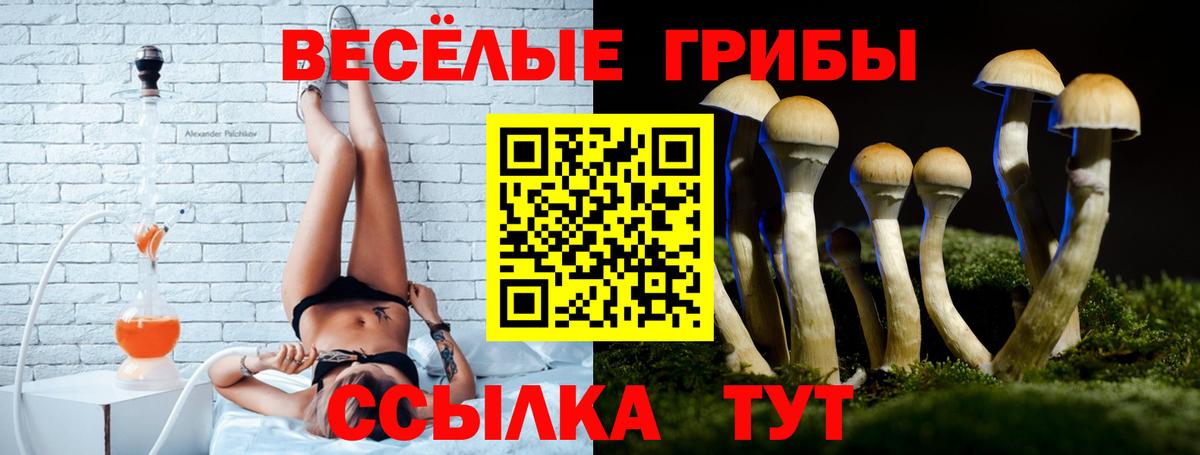 Галлюциногенные грибы Psilocybine cubensis Боровичи