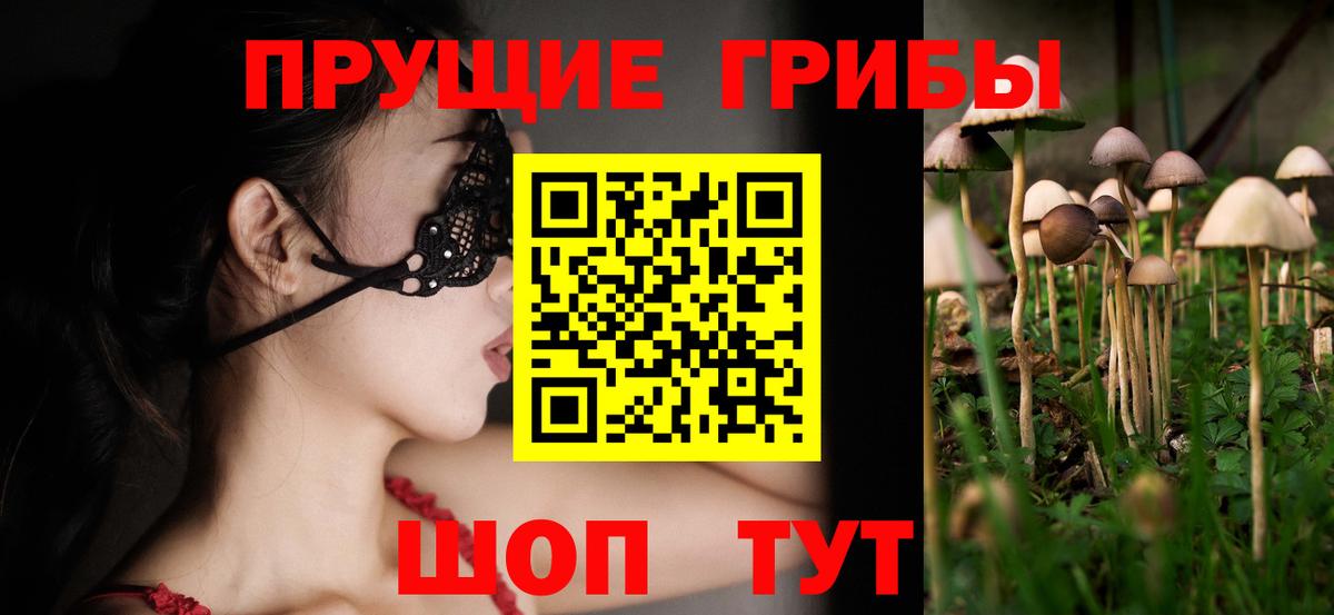 Псилоцибиновые грибы мухоморы  Псилоцибиновые грибы Psilocybe  Боровичи  Вход с VPN 